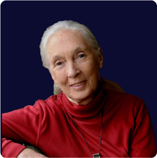 Jane Goodall